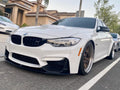 F82/F80 M Performance Lip Gloss Black