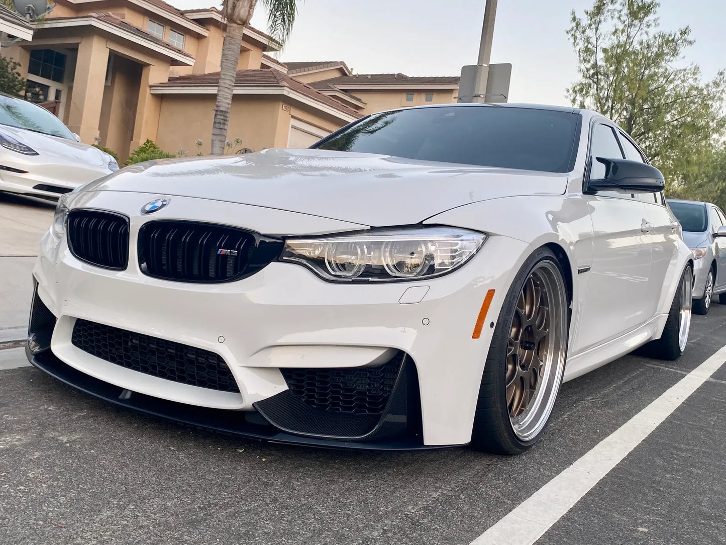 F82/F80 M Performance Lip Gloss Black